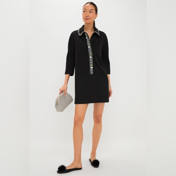 Tuckernuck Black Mini Dress with Silver Trim - Picture 2 of 14